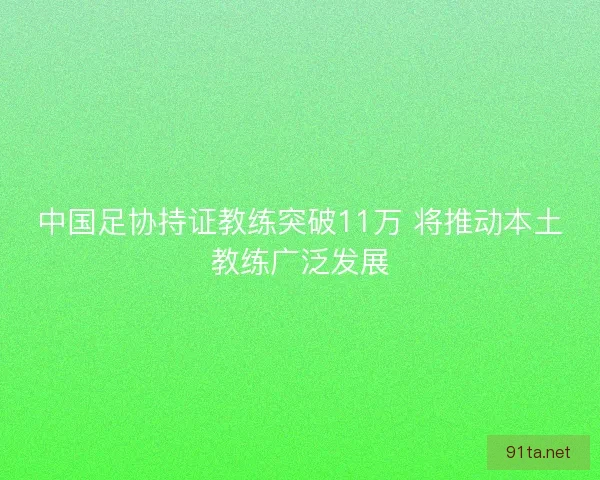 中国足协持证教练突破11万 将推动本土教练广泛发展